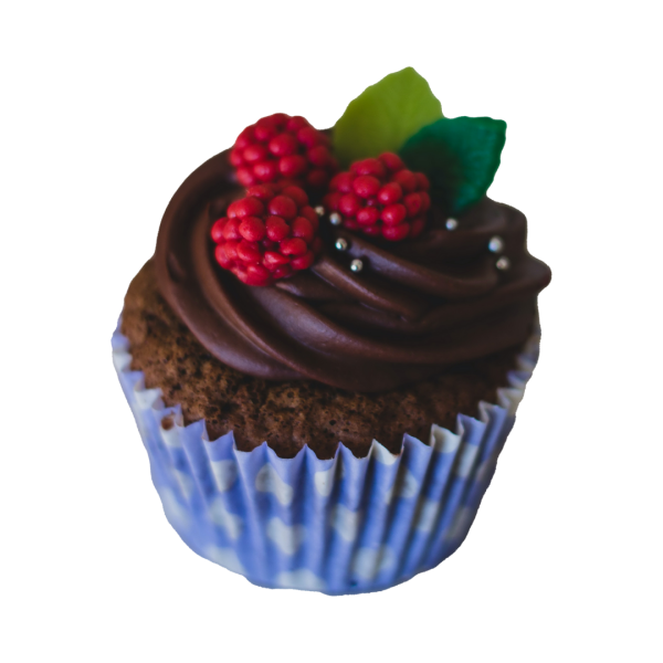 Chocolate Cupcake